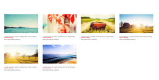 Grid Snippet Block