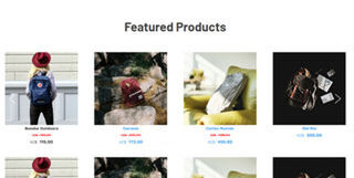 Homepage Featured Grid